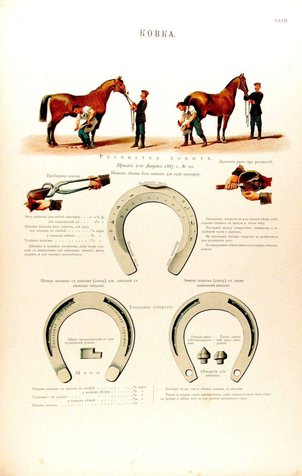 Page showing horseshoeing and tools