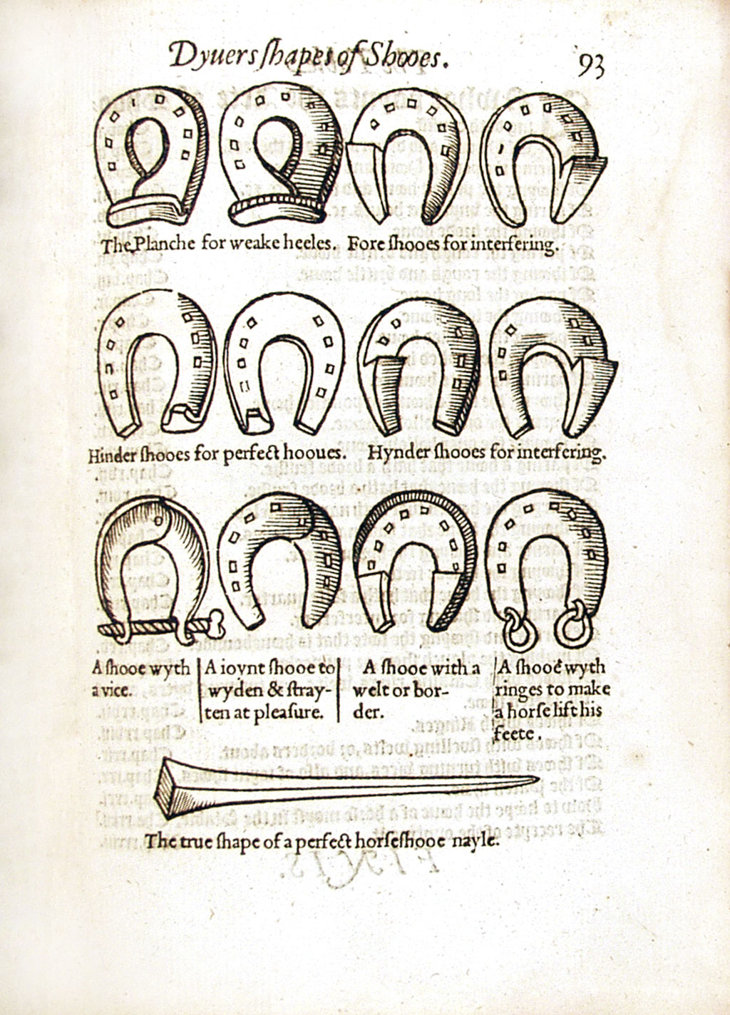 Page showing horseshoes