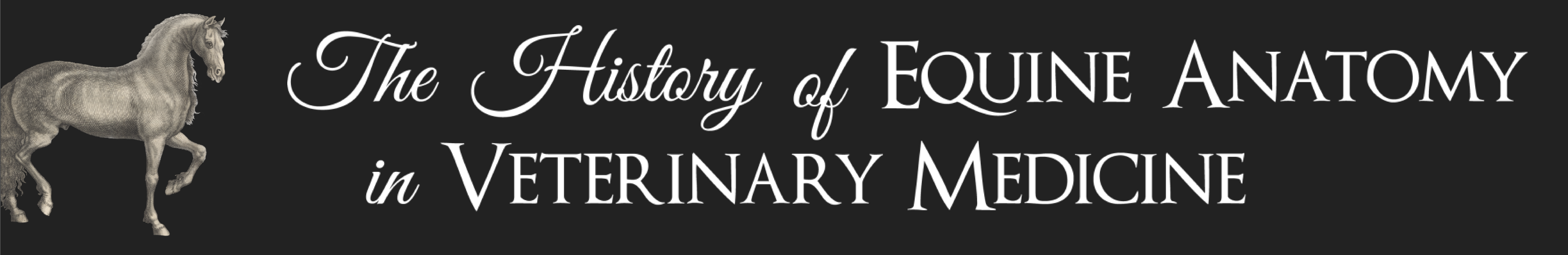 The History of Equine Anatomy in Veterinary Medicine