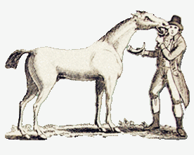book illustration of horse with veterinarian