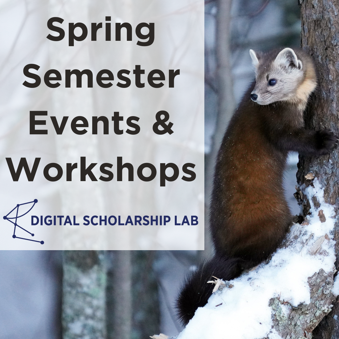 a marten in a snow covered tree looking at text "Spring Semester Events & Workshops"