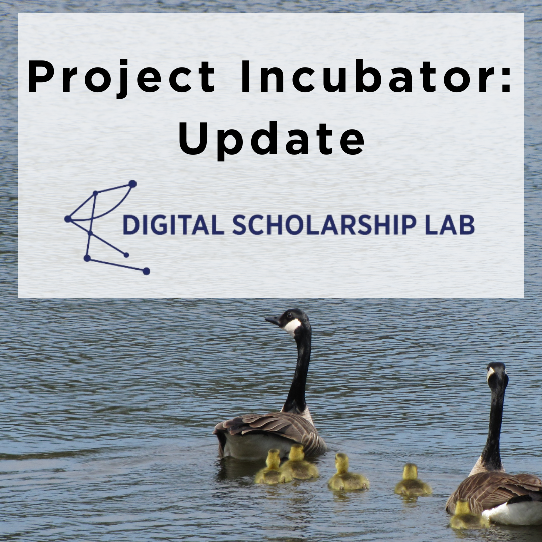 Goslings following geese with label "Project Incubator Update"